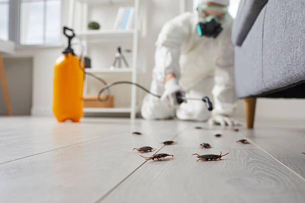 Commercial Kitchen Cockroach Control in Vermilion